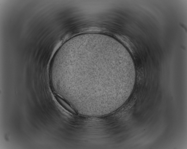 X0000097481475200803201459