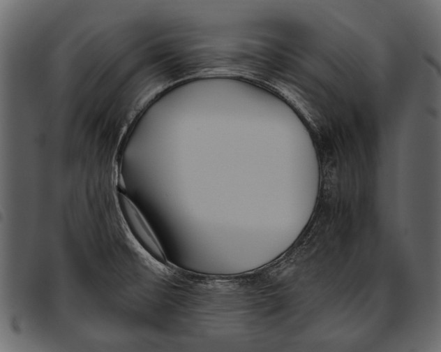 X0000097481476200803201459