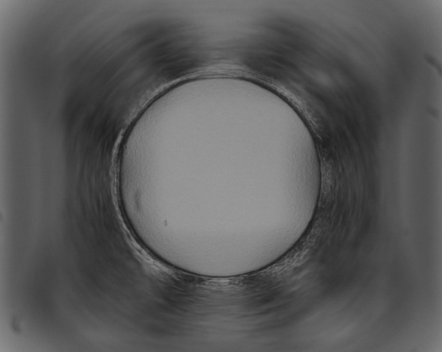 X0000097481478200803201459