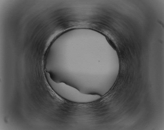 X0000097481480200803201459