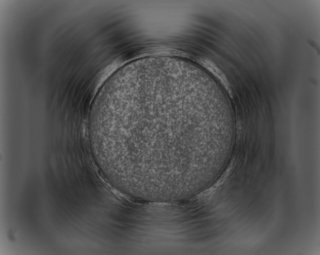 X0000097481481200803201459