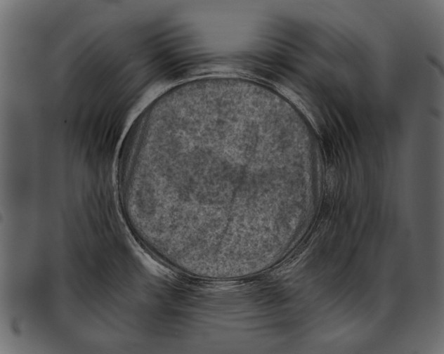 X0000097481482200803201459