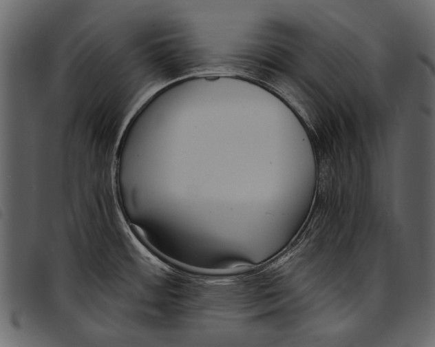 X0000097481484200803201459