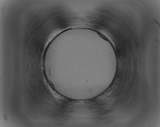 X0000097481485200803201459