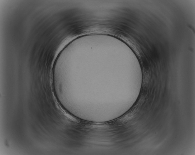 X0000097481486200803201459