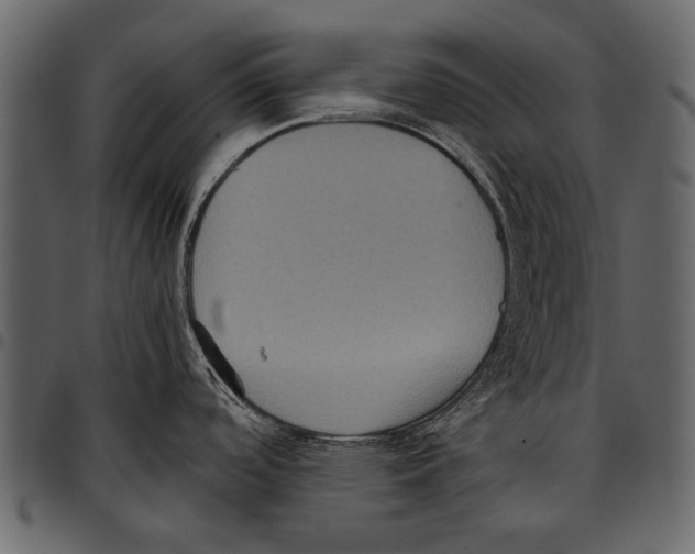 X0000097481488200803201459