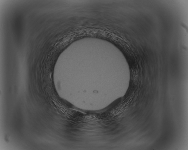 X0000097481489200803201458