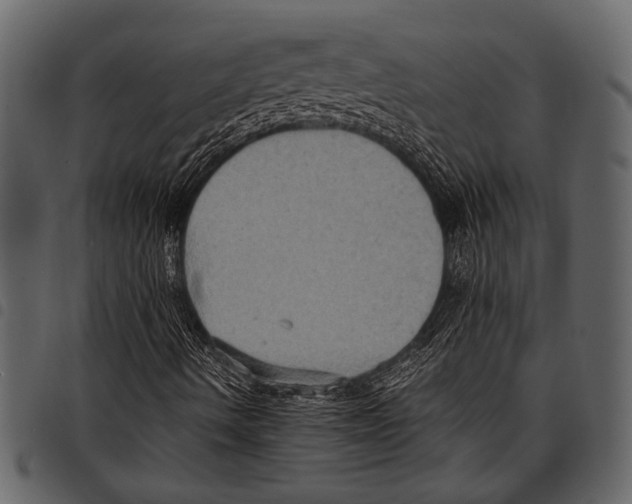 X0000097481490200803201458