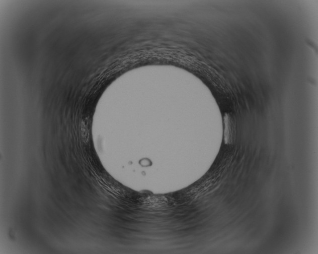 X0000097481491200803201458