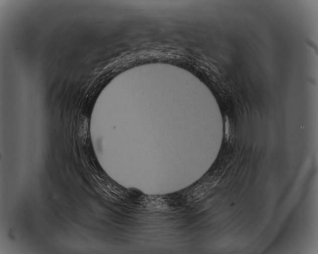 X0000097481492200803201458