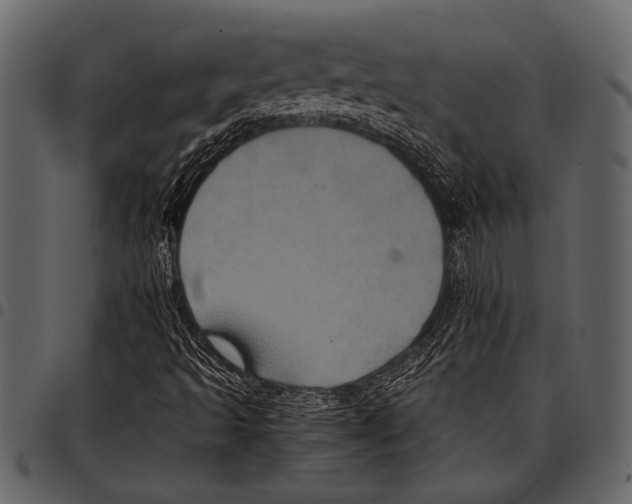 X0000097481493200803201458