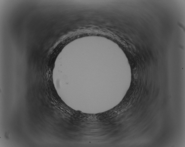 X0000097481495200803201458