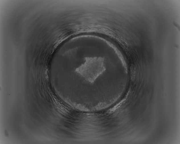 X0000097481497200803201458