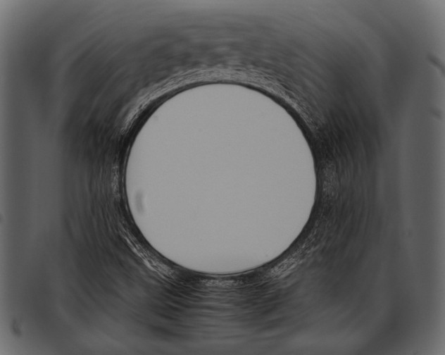 X0000097481499200803201458