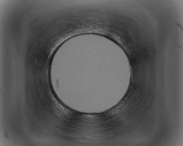 X0000097481500200803201458