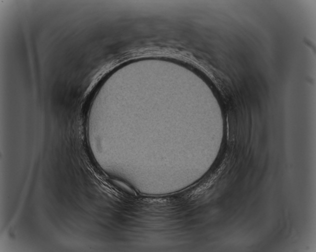 X0000097481501200803201458