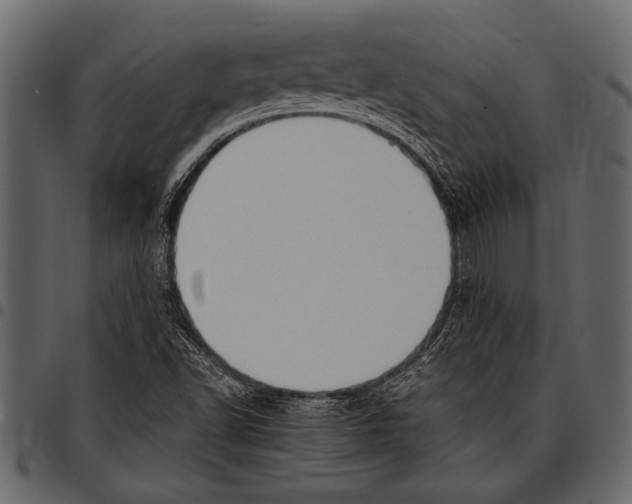 X0000097481502200803201458