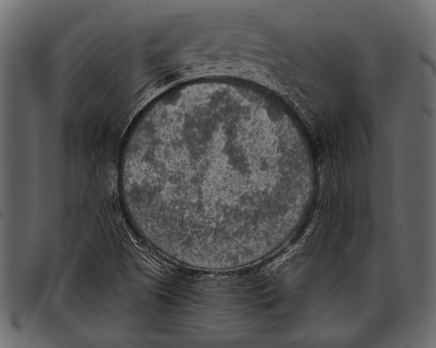 X0000097481505200803201458