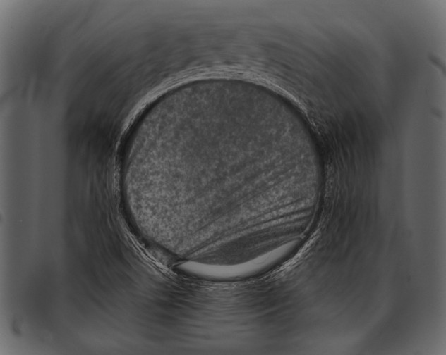 X0000097481506200803201458