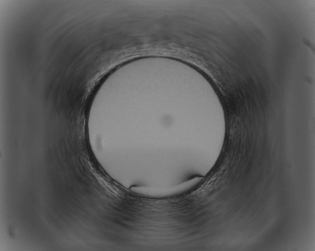 X0000097481507200803201458