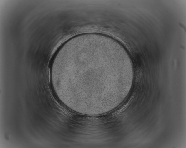 X0000097481509200803201458