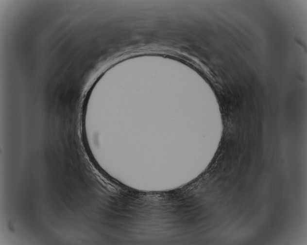 X0000097481512200803201458