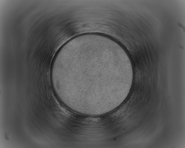 X0000097481513200803201458