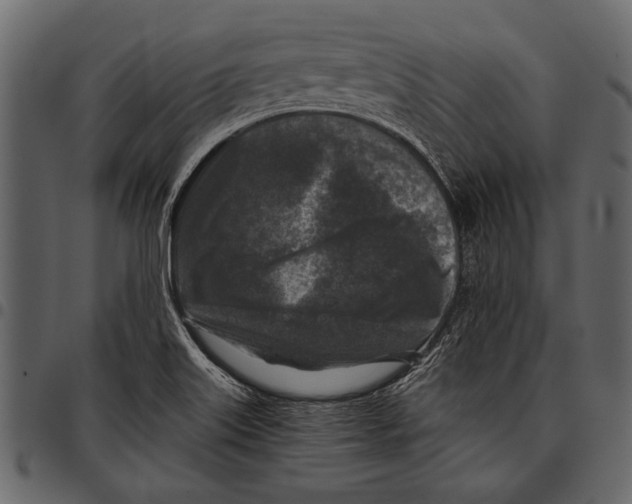 X0000097481515200803201458