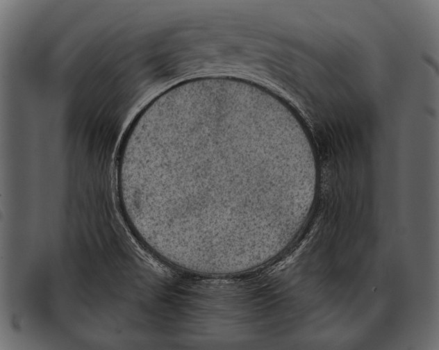 X0000097481517200803201458