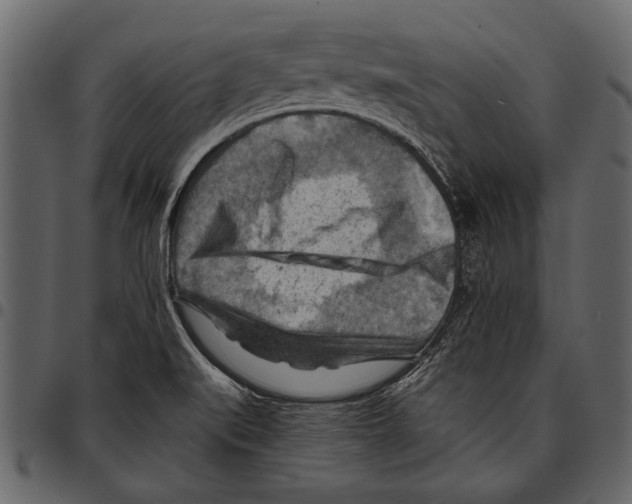 X0000097481519200803201458