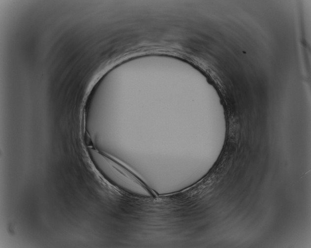 X0000097481520200803201458