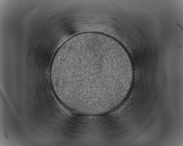 X0000097481521200803201458