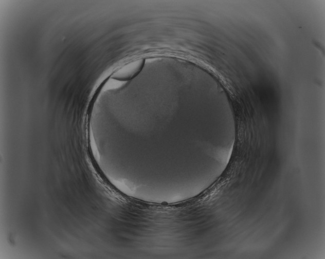 X0000097481522200803201458