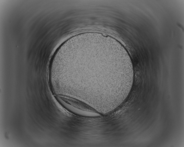 X0000097481523200803201458