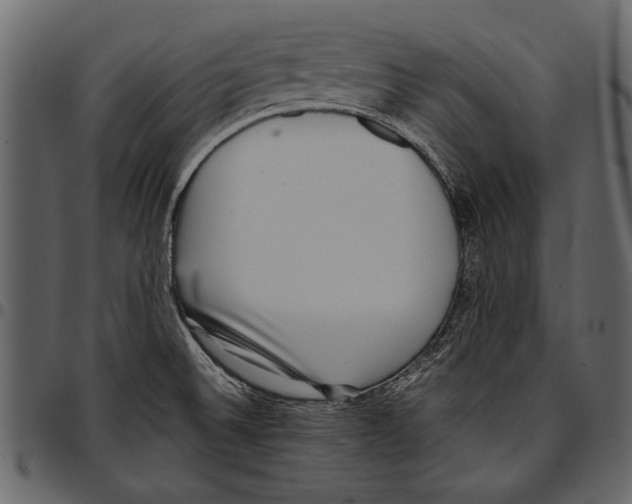 X0000097481524200803201458