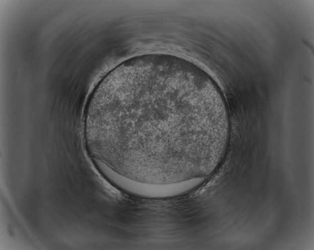 X0000097481525200803201458