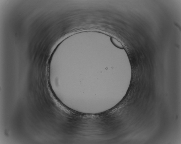 X0000097481526200803201458