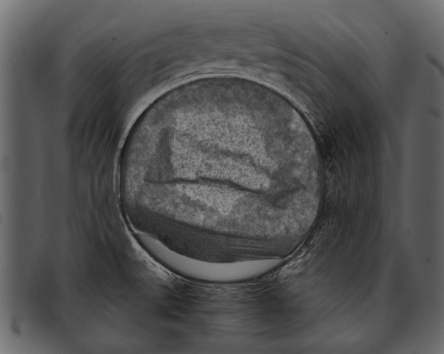 X0000097481527200803201458