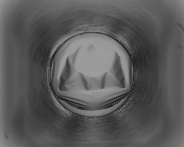 X0000097481528200803201458