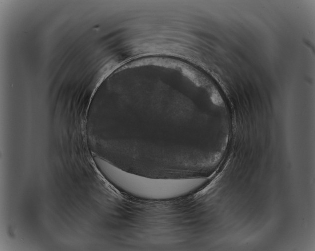 X0000097481529200803201458