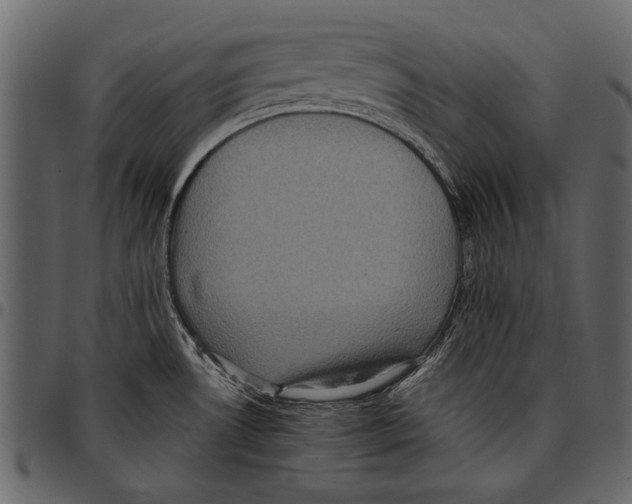 X0000097481530200803201458