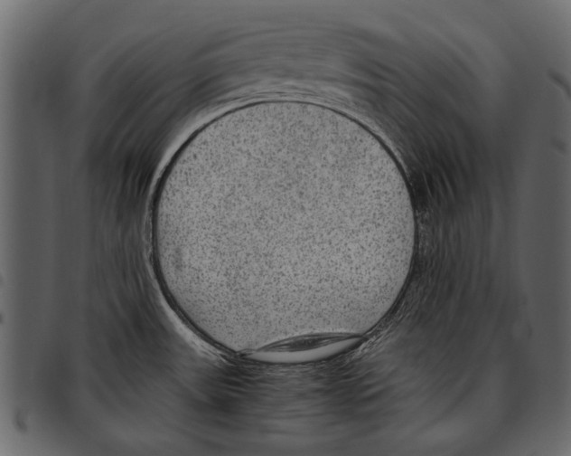 X0000097481531200803201458