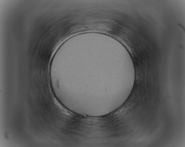 X0000097481532200803201458