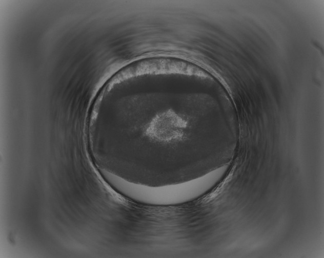 X0000097481533200803201458