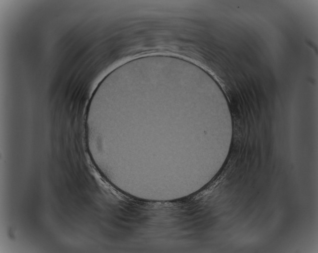 X0000097481534200803201458