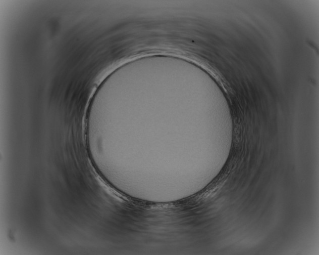 X0000097481535200803201459