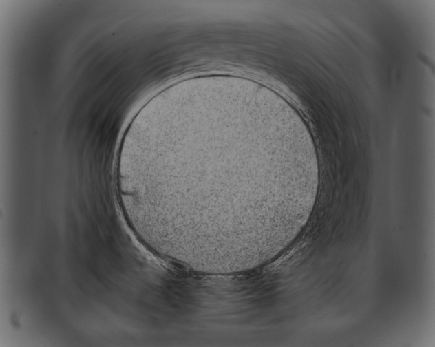 X0000097481536200803201459