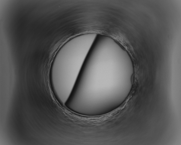 X0000097490001200802220850