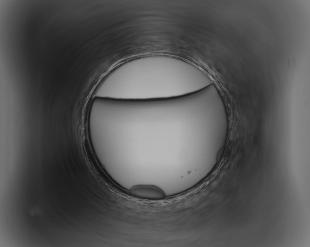X0000097490002200802220850