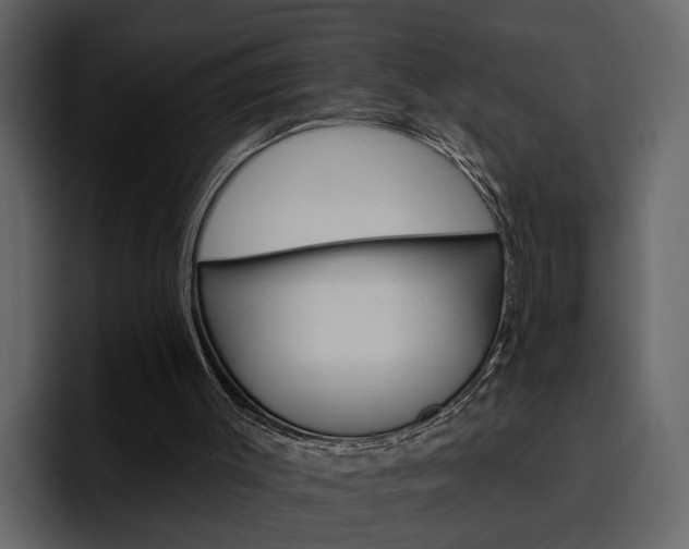 X0000097490003200802220850